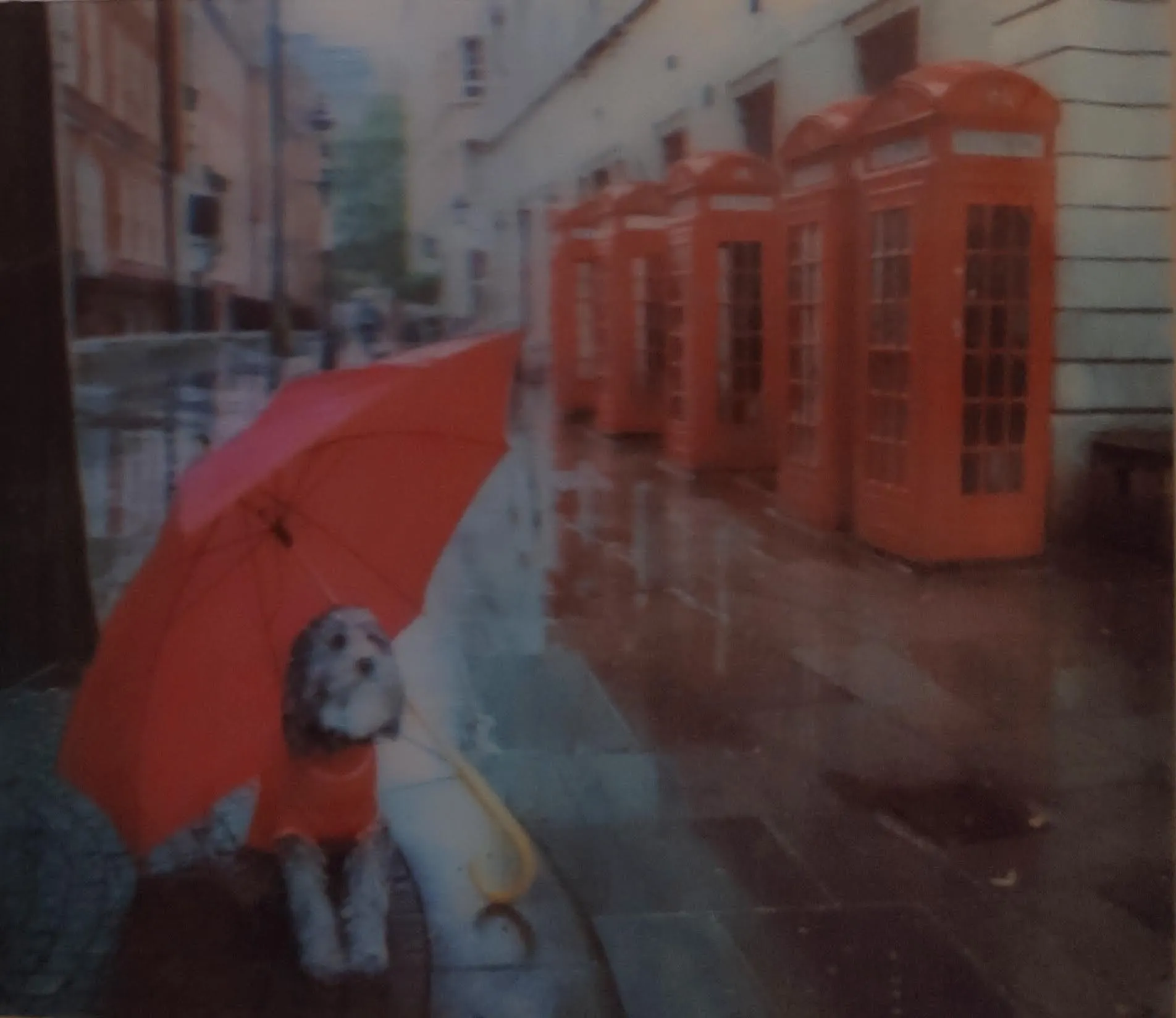 Postcard from London, U.K.